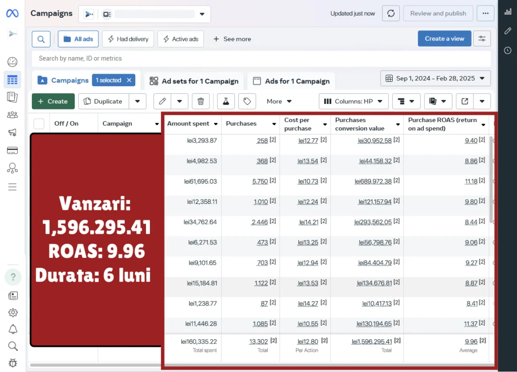 Facebook Ads ROAS 9.96