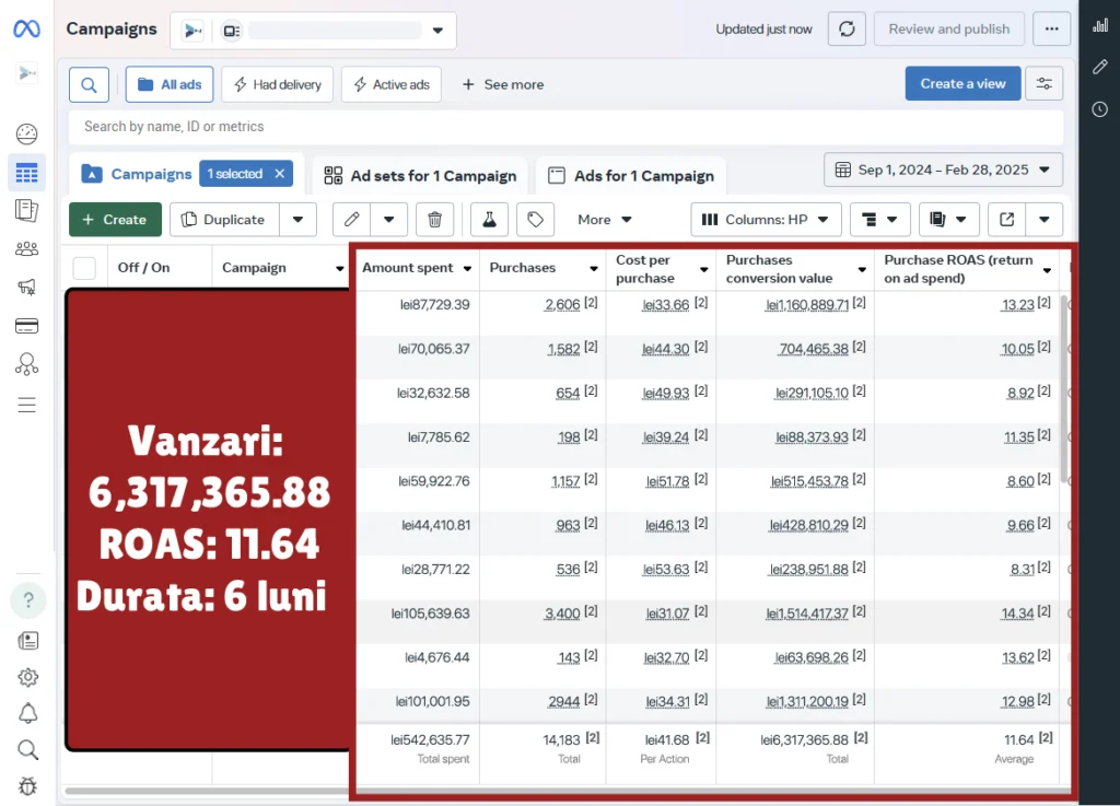 Facebook Ads ROAS 11.64