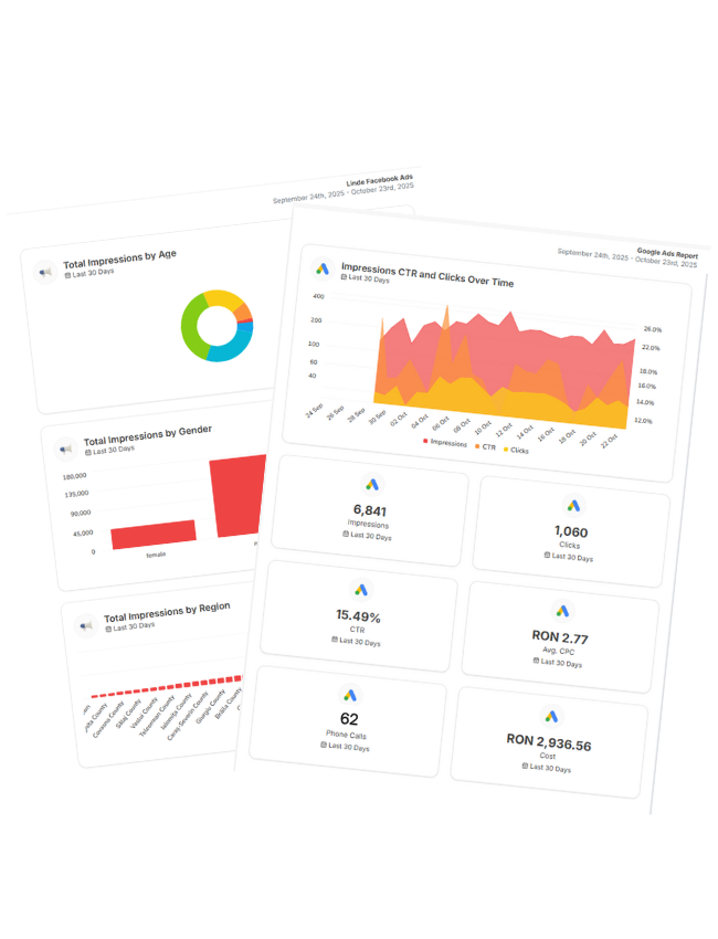 Dashboard de raportare pentru campanii Google Ads, cu grafice privind conversii, cost per clic și performanță zilnică.