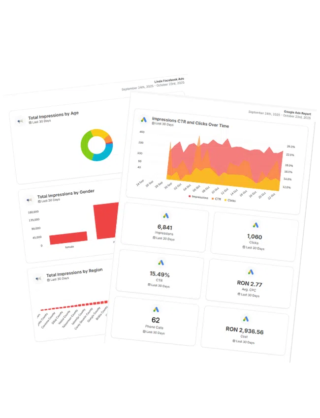 Dashboard de raportare pentru campanii Google Ads, cu grafice privind conversii, cost per clic și performanță zilnică.