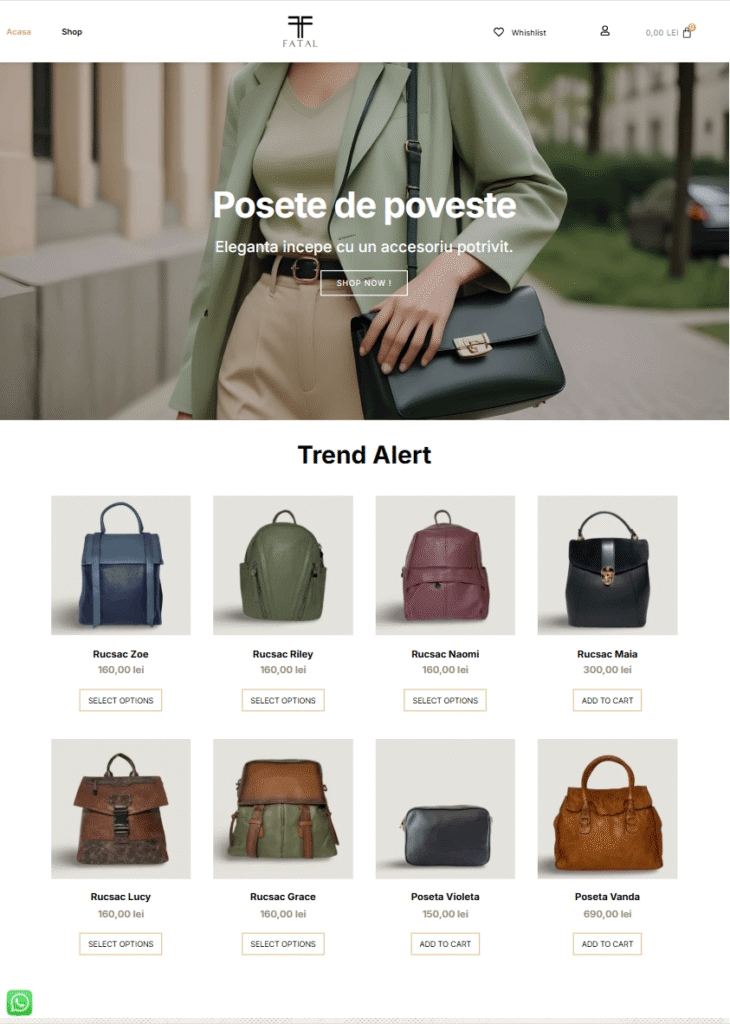 creare magazin online fashion cu focus pe conversie si prezentare produs